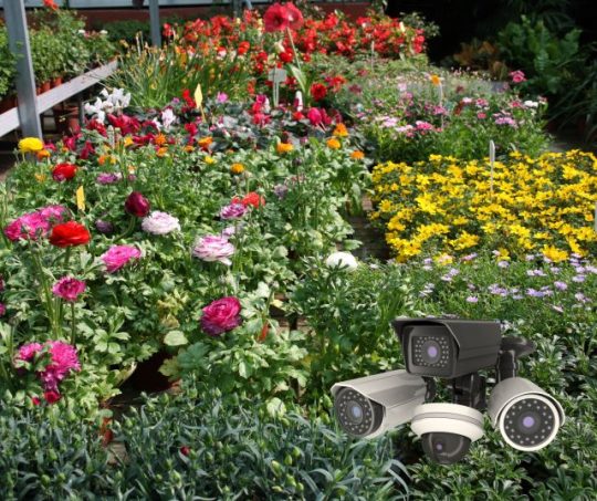 Garden centre with CCTV cameras